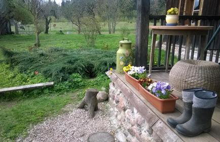 Jabłkowo-na skraju Puszczy Boreckiej ŚNIADANIA W CENIE - Foto 30