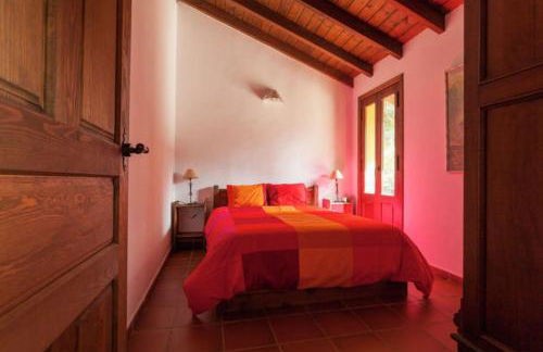 Finca Montemateo - Foto 48