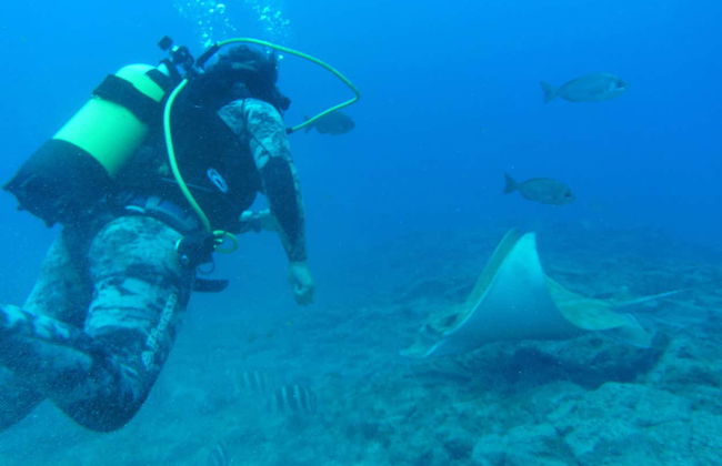 Immersione per principianti a Costa Adeje - Foto 2