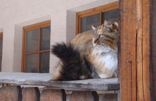 Schupferhof - Foto 32