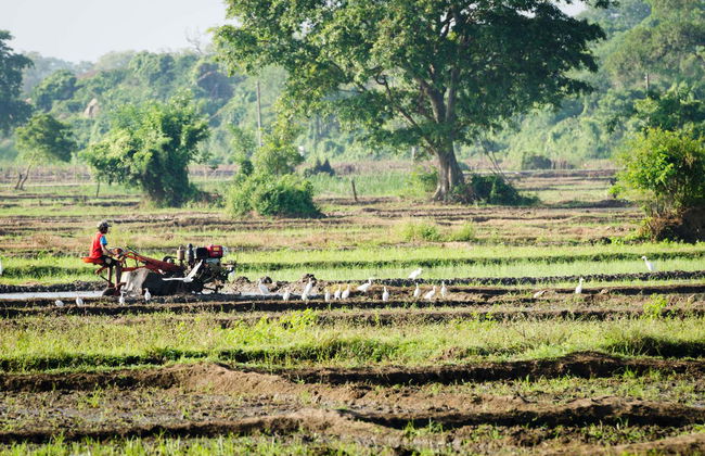 Excursión a Habarana - Foto 2