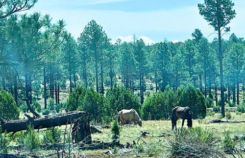 Forest edge, wild mustangs nearby, balcony views By Vacation Your Way - Foto 30