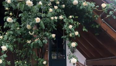 Schutterzeit - Foto 3