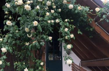 Schutterzeit - Photo 3