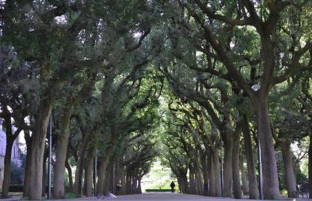 Casa Valerio - Foto 38