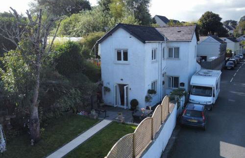 Cartref, 1860s family home. - Foto 9