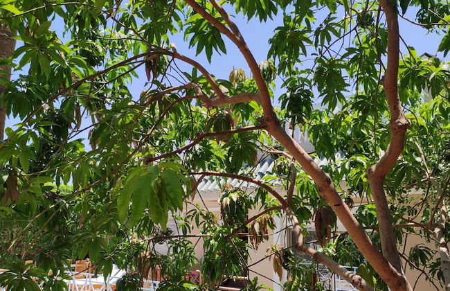 Villa Rayan - Foto 55