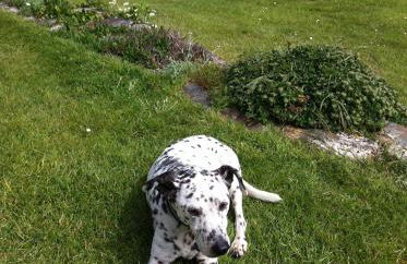 Wesdale Holiday Home - Foto 16