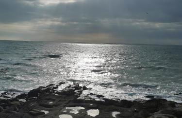 Le jardin de la mer - Foto 13