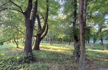 Apartament Saturna - Foto 6