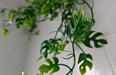 SeaSuites Blue - Casa cerca del mar en Cullera - Foto 13