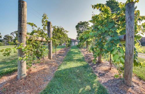 Kentucky Retreat Near Williamstown Lake! - Foto 23