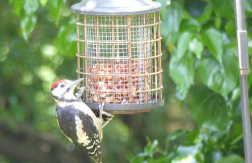 Weir Cottage - Foto 40