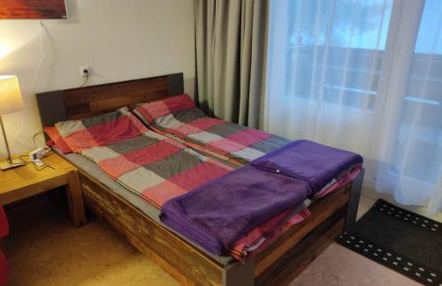 Ferienapartment Alois in Sankt Englmar - Foto 21