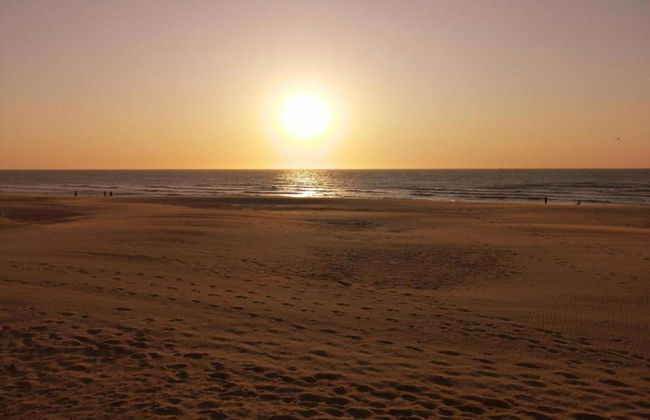 Apartment in Ostend Near North Sea - Foto 25