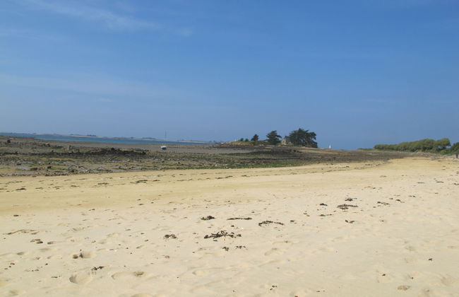 La Roseraie - Photo 33