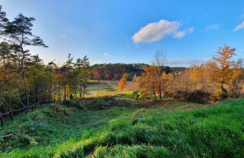 Sielski Domek Na Wzgórzu - Foto 6