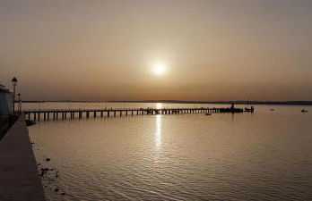 Jardim de Copas - Foto 42