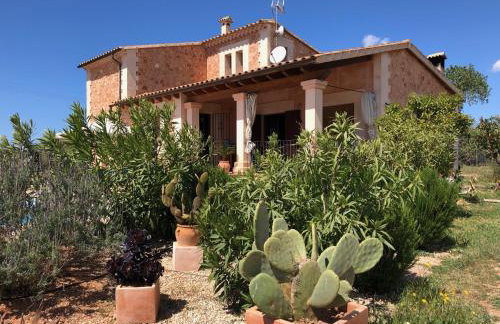 Finca Can Alba - Photo 34