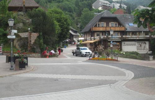 Ferienwohnung Todtmoos - Foto 21