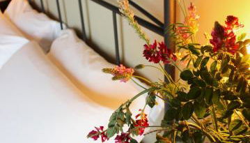 Agriturismo Ceriano - Foto 3