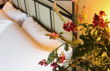 Agriturismo Ceriano - Foto 3