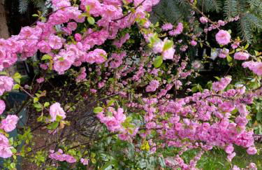 Ferienwohnung Bautzenblick - Foto 19