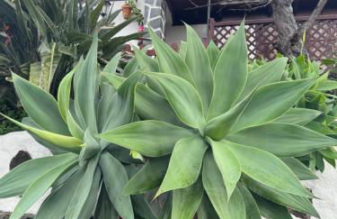 Casa colon - Foto 50