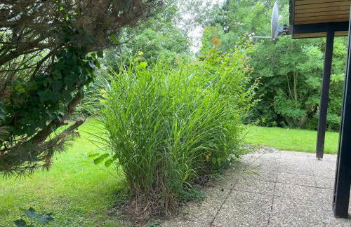 Grommy`s 2 Eckwarden - Foto 26