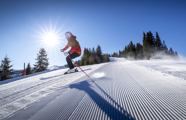 Superior #68 mit IR-Sauna - Foto 21