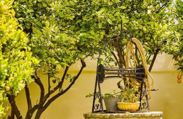 Renko Royal Villa - Private Infinity Pool & Garden - Athens Riviera - Foto 40