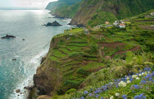 Panoramic House in Ponta do Sol - Foto 21