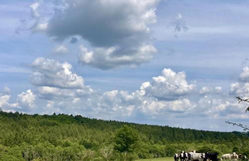 The Old Workshop, Wadhurst - Foto 50