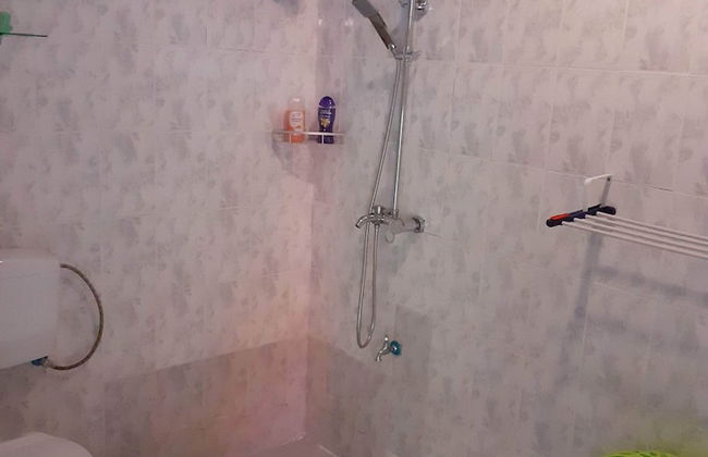 Max Garden and Pool - Photo 46