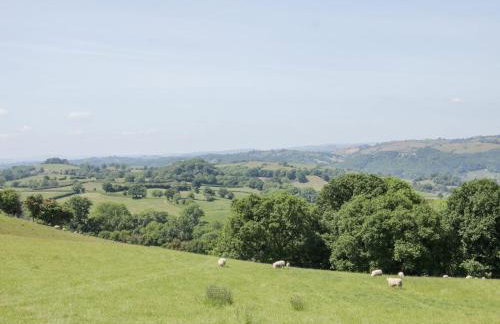 White House - Foto 47