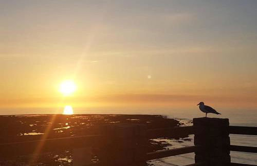 GitedesDalles 3 épis avec terrasse vue mer - Foto 3