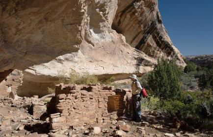 Basecamp Bluff - Bungalow with Patio, Dogs Welcome - Foto 21