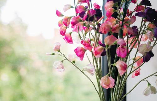 Urban Oasis - Foto 13