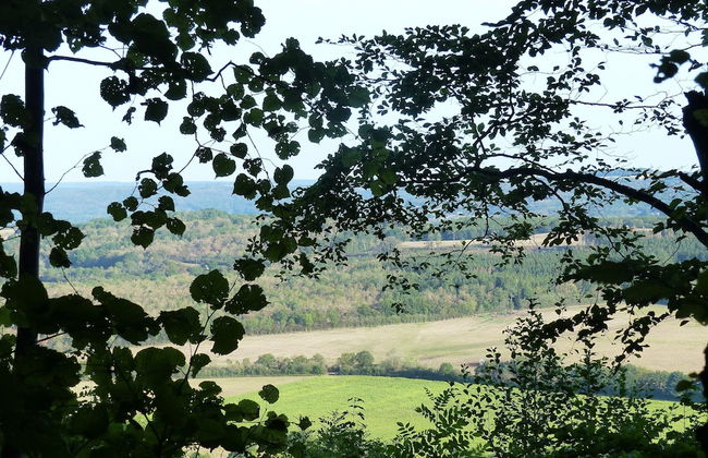 New House on the Edge of a Large Forest, Large Garden,very Quiet, Beautiful Area - Foto 39