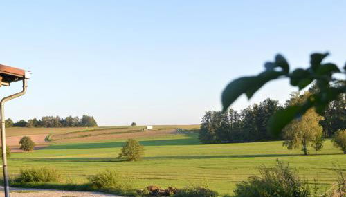 MainMoment - Photo 2