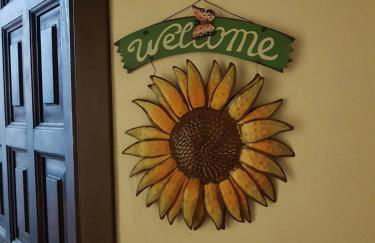 Il Girasole Storico - Foto 23