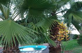 Acomodação do Viveiro Bela Flor - Photo 28