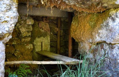 Casa Largo S Lourenço e Casa da Videira - Photo 25