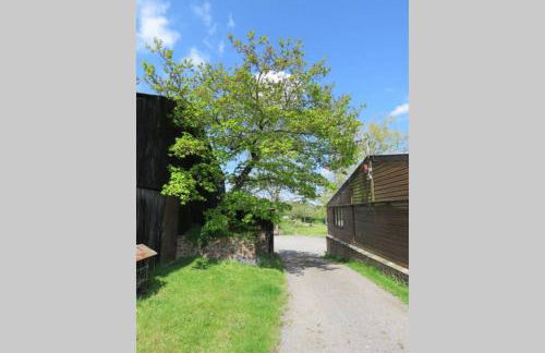 Wolfin Farm Accomodation - Foto 16