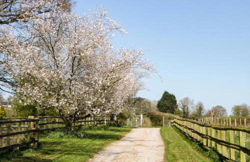 The Cottage at Rocklands Farm - Foto 23