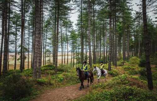Ty Will, Parc Y Fronwen - Foto 19
