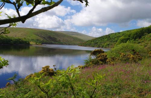 2 Bed in Okehampton 06200 - Foto 24