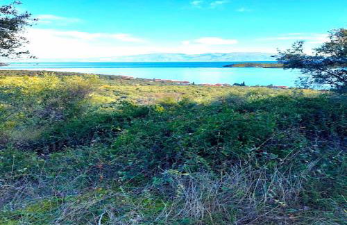 Little Bit Of Heaven - Photo 36