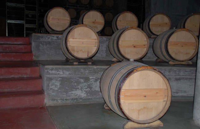 Tour privado pelas adegas do Vale do Uco - Foto 9