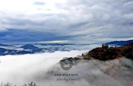 Casa Mille Olivi - Peaceful Lake View House, Private 50m2 Pool, near Motovun - Photo 52